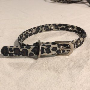 Cute as can be! Cheetah print leash & collar set. Leash 55”, Collar 17” & 1/2” W
